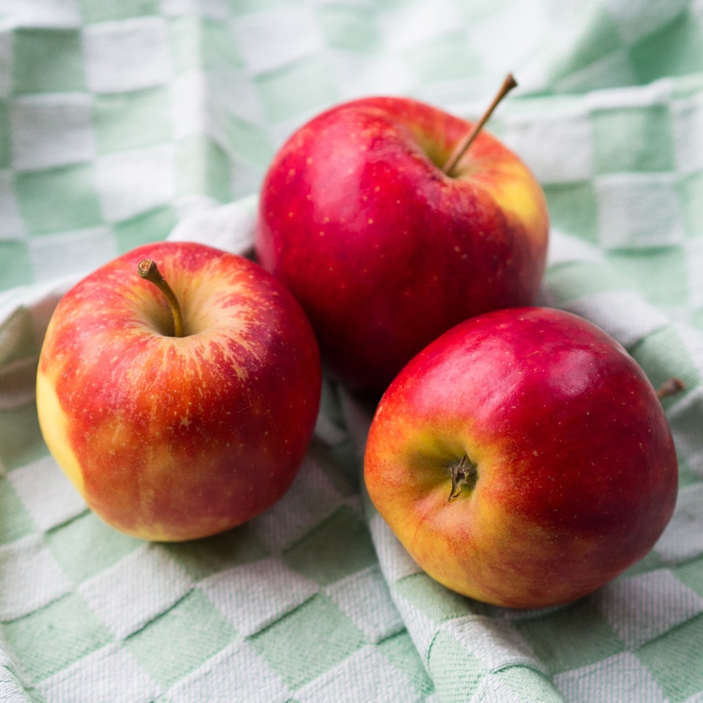 Malus domestica 'Elstar' (Hoogstam)