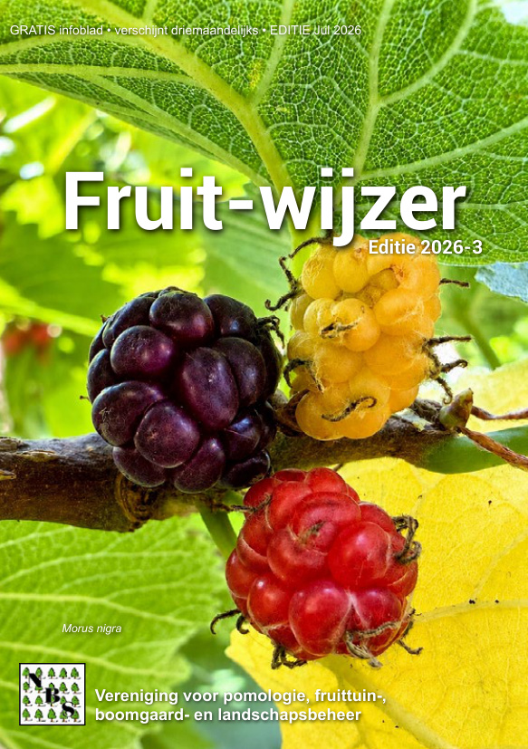 Fruit-wijzer 2026-3