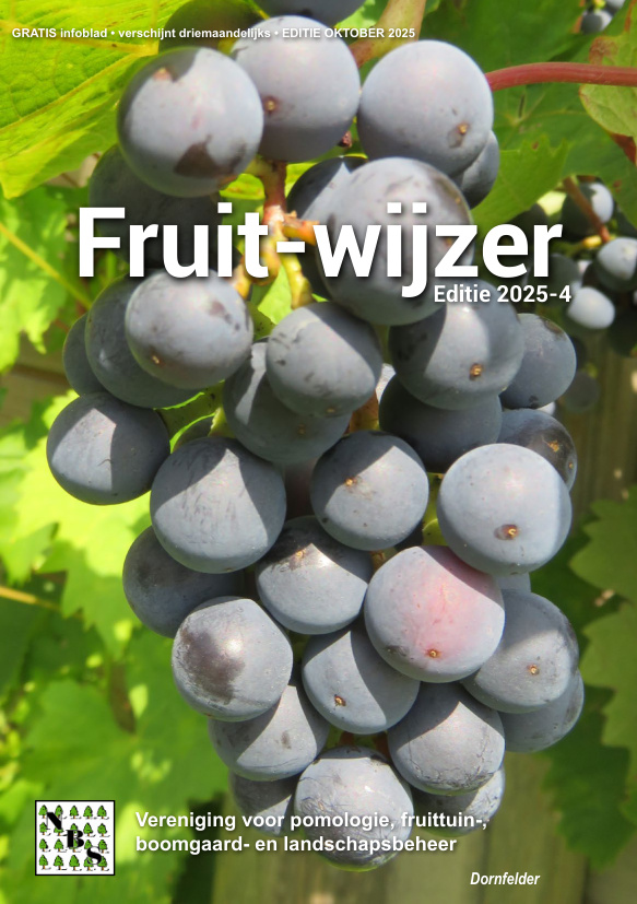 Fruit-wijzer 2025-4